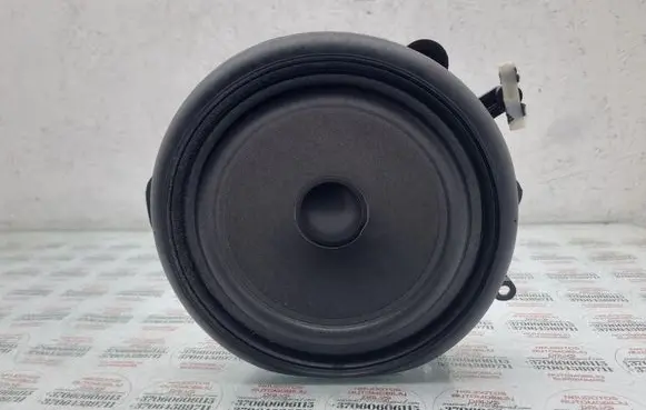 Rear door speaker