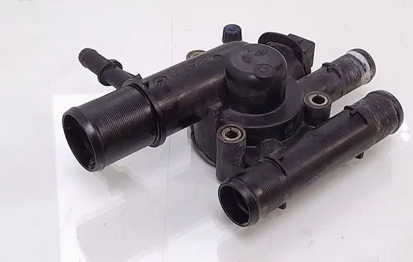 Thermostat/thermostat housing