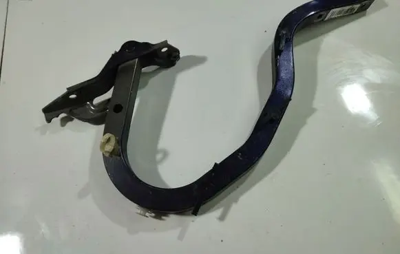 Tailgate/trunk/boot hinge