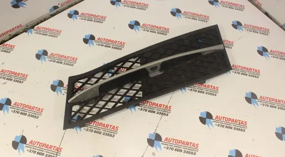 BMW 5 F10 F11 Front bumper lower grill 7200699