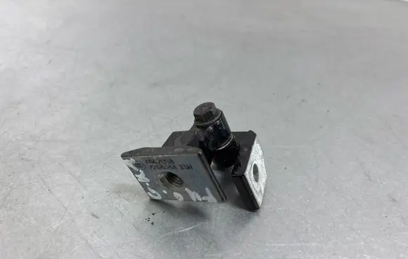 BMW 2 F46 Rear door lower hinge 7246061