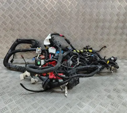 Tesla Model Y Other wiring loom 248905802B 148904505D