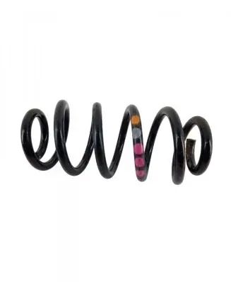 Audi TT TTS Mk2 Rear coil spring