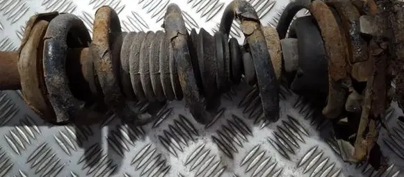 Nissan Almera Tino Rear coil spring