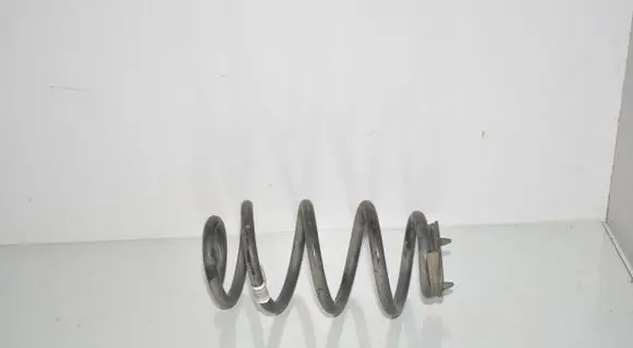 Rear coil spring