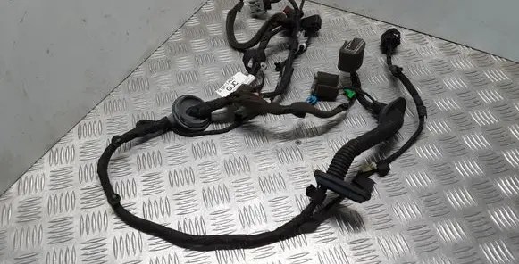 Land Rover Evoque I Front door wiring loom 