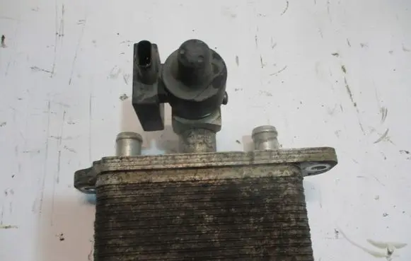 BMW 2 Active Tourer U06 Coolant radiator 103776400C