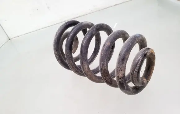 Rear coil spring