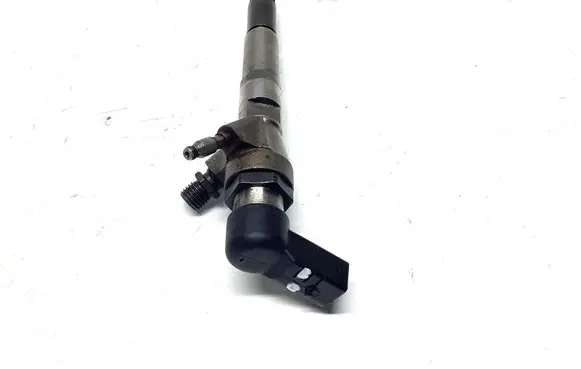 Nissan Qashqai Fuel injector H8201100113 166006212R
