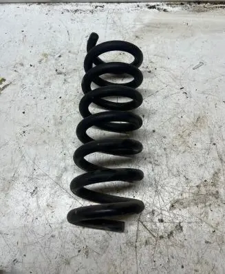 Rear coil spring