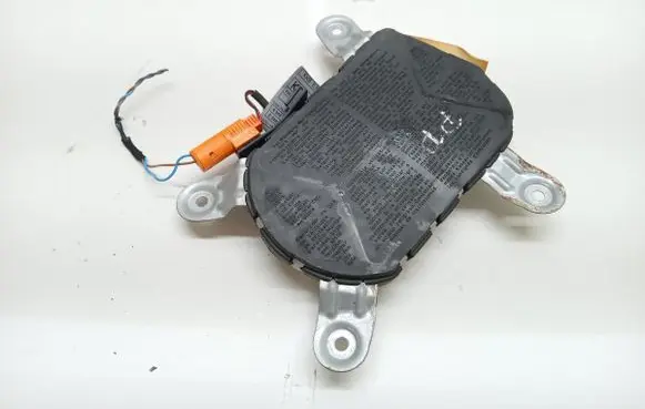 BMW 5 E39 Front door airbag 