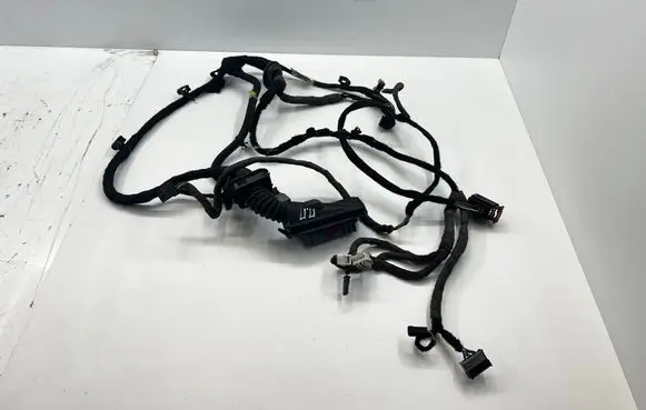Opel Insignia A Front door wiring loom 39001293