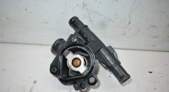 Thermostat/thermostat housing