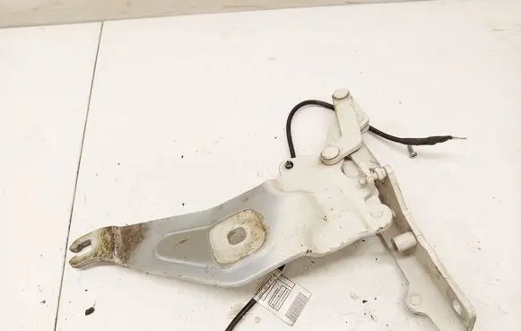 BMW X6 E71 Engine bonnet/hood hinges t20862801