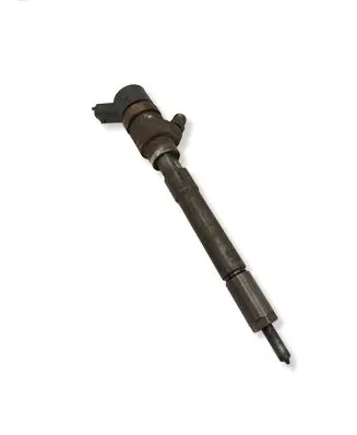 Chevrolet Captiva Fuel injector 96440397 0445110270