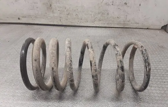 Rear coil spring