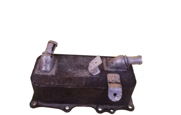 Porsche Cayenne (9PA) Oil pump M48