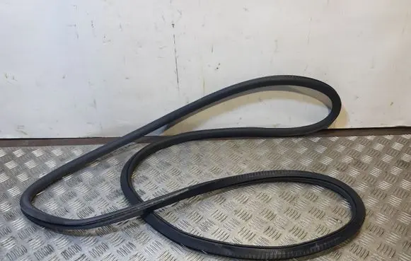 BMW 7 F01 F02 F03 F04 Rear door rubber seal (on body) 7179131