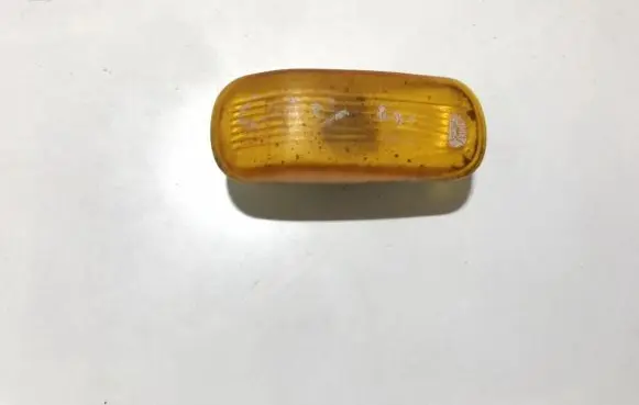Front fender indicator light