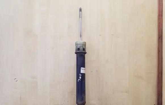 BMW X5 E53 Rear shock absorber/damper