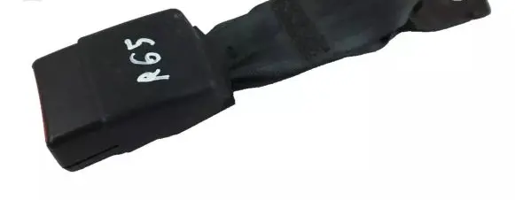 Nissan Leaf II (ZE1) Middle seatbelt buckle (rear) 2094330