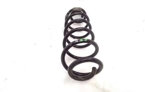 Rear coil spring