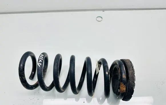 Rear coil spring