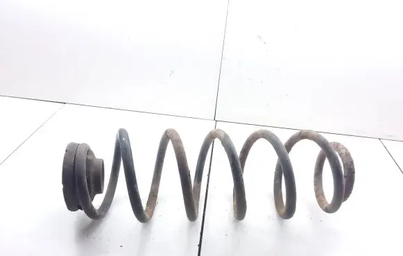 Volkswagen New Beetle Rear coil spring
