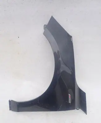 Ford Focus Fender
