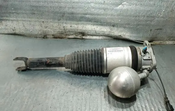 Volkswagen Phaeton Rear shock absorber/damper 3D0616002K
