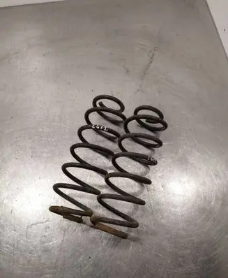 Rear coil spring