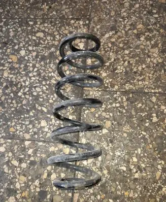 Volkswagen PASSAT B6 Rear coil spring