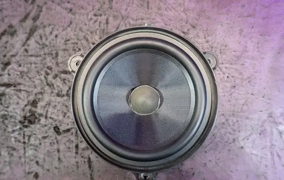 Renault Laguna III Front door speaker 281440003R