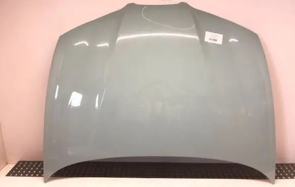 Engine bonnet/hood