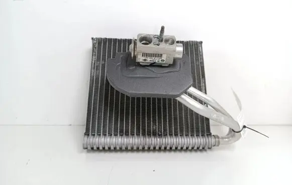 Mini Cooper Countryman R60 Air conditioning (A/C) radiator (interior) 64119262788