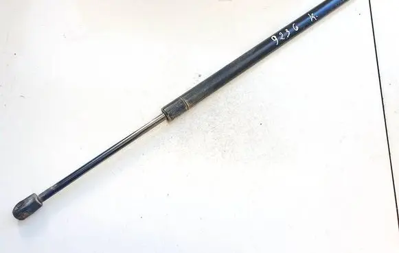 Tailgate/trunk strut/damper