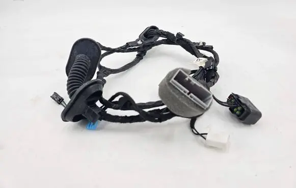 Jaguar XF X250 Rear door wiring loom CX2314633 50019351