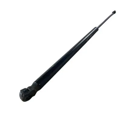 Ford Edge II Front bonnet/hood damper/strut FT4BR16C826AC