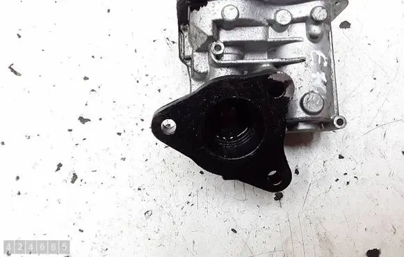 Renault Captur EGR valve H8201143495