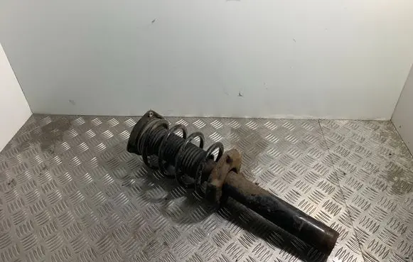 Skoda Octavia Mk2 (1Z) Front shock absorber with coil spring