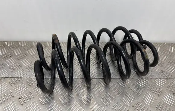 Rear coil spring