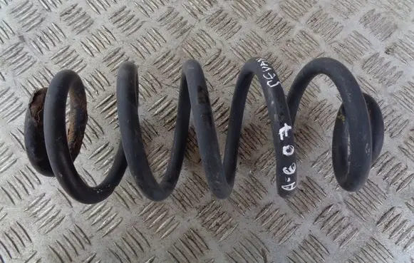 Rear coil spring