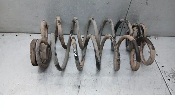 Seat Leon (1M) Rear coil spring