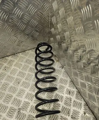 Renault Megane II Rear coil spring