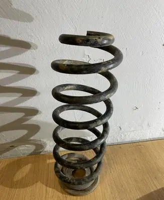 Volkswagen PASSAT B6 Rear coil spring
