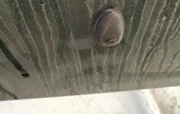 Windshield washer spray nozzle