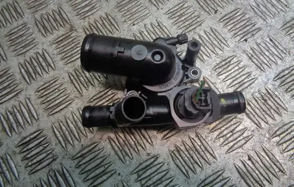 Thermostat/thermostat housing