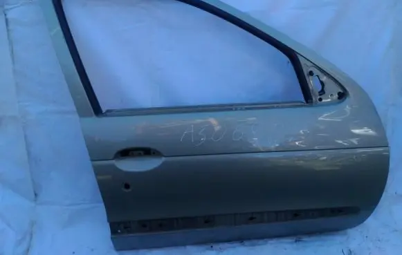 Renault Megane I Front door