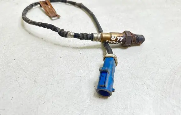 Ford Focus Lambda probe sensor