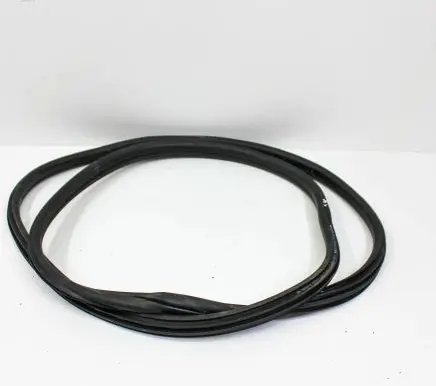 BMW X2 F39 Rubber seal rear door 7420803
